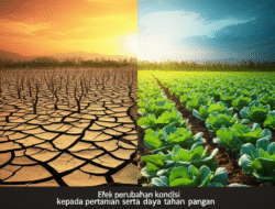 Efek perubahan kondisi  kepada pertanian serta daya tahan pangan