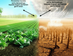 Perubahan kondisi serta dampaknya  kepada bagian pertanian garis besar